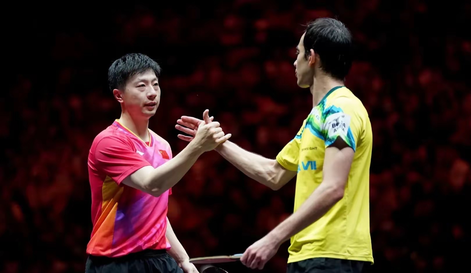 瑞典乒乓球队横扫波兰乒乓球队，马龙一己之力扛起全队